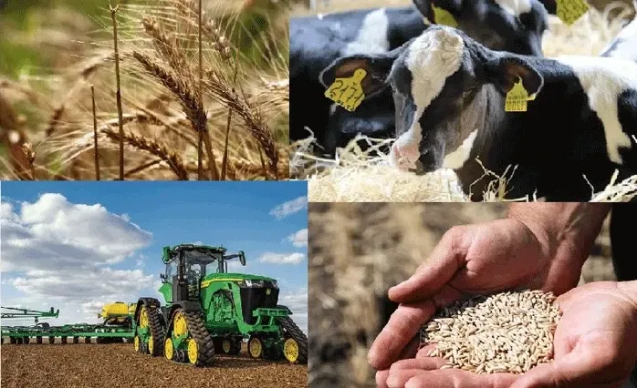 Кыргыз Республикасында айыл чарба каттоосун 2026-жылга жылдыруу жөнүндө чечим кабыл алынды